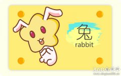 属兔人在相亲时最看重对方什么特质