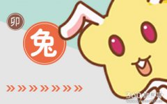 属兔的人冷战时都在想什么