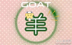 属羊女出门旅行一定要带上什么东西