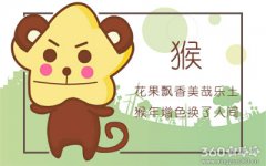 属猴人房间进飞虫会如何驱赶走