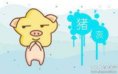 为什么属猪女降低要求了还找不到男朋友