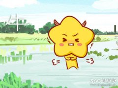 属牛人在什么阶段学习能力最强