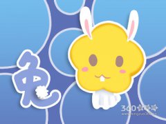 属兔人遭遇什么事情会懂得爱恨分明
