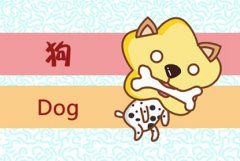 2021年本命年出生的宝宝好不好 可以冲喜化解太岁