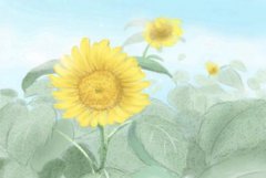 2021年春节属虎运势 属虎的2021年运势怎么样