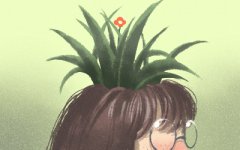 善于明修栈道 暗度陈仓迷惑对手的生肖