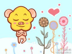 猪年宝宝应避开哪个月出生 几月出生最好