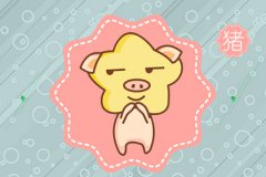 属马和属猪的合不合 属猪人和属马人婚配