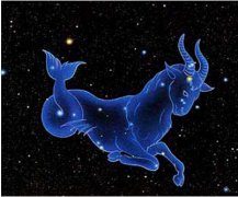 12月22日—1月19日 摩羯座