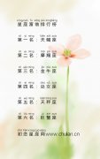 十二星座谁最有钱，星座富翁排行榜
