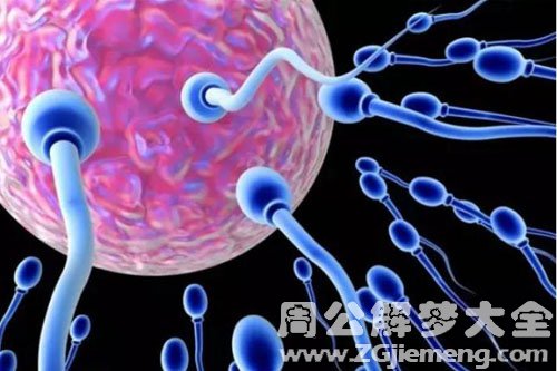 【梦见精子】