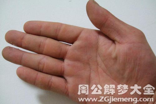 【梦见手掌】