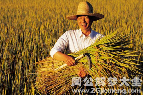 【梦见农民】