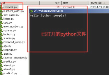 python程序