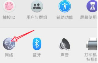 然后点击网络选项