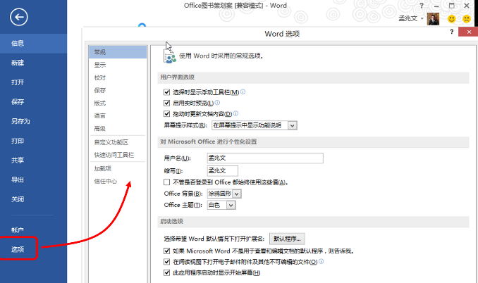 Word选项截图
