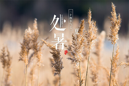 2022年处暑节气在几月几号几点几分几秒？2022年处暑具体时间