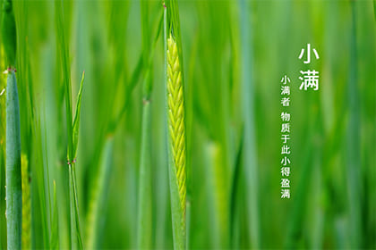 2022年小满时间：小满是在几月几日几点几分几秒？