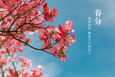 2022年春分节气是哪一天？春分三候都是什么？