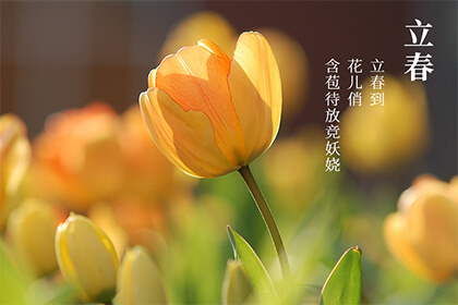 2022年立春时间介绍，2022年立春是五九尾还是六九头？