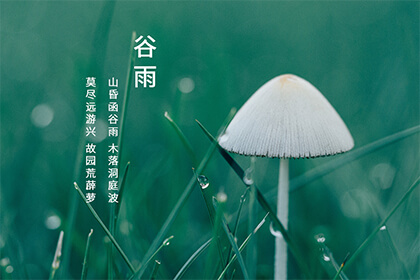2022年谷雨节气是哪一天？当天黄历日子好不好？