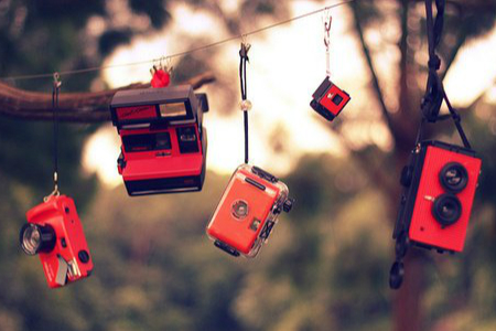 苏珊米勒每日运势12.19｜白羊获得信任；金牛明确目标