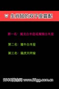 双子座生肖配对
