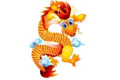 属龙的人性格