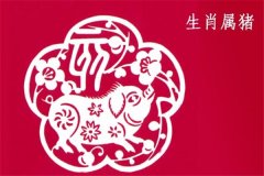 属猪人2018年全年运势