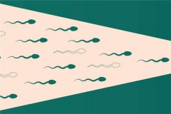 梦见精子