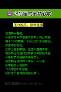 水瓶座的爱情软肋