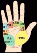 手相-掌丘算命图解