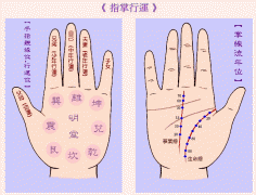 成涛掌相指掌行运