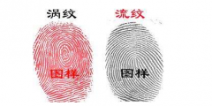 指纹算命十五：斗、簸箕、簸箕、簸箕、斗