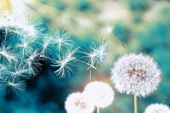 正确提取你八字命理里的喜用神