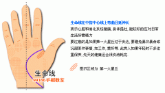 生命线看健康