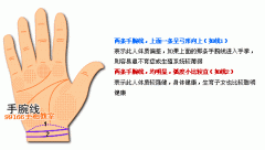 各类掌纹支线