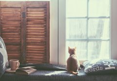 你是否要交桃花运了？