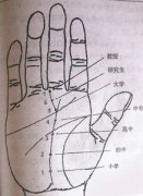 从手相看你的学历