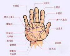 揭晓手相之谜