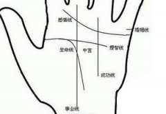 从手相看你会不会结好几次婚
