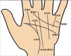 女人手纹乱好吗