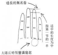 女人手相之观掌丘