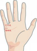 手相子女线图解