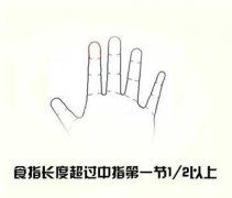从手指长短看你适合啥工作？