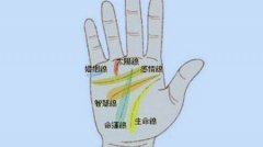 女子右手掌纹图解