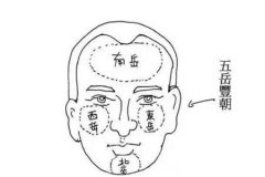 能白手起家的手面相特征