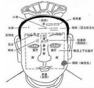 三种名利双收的面相特征介绍
