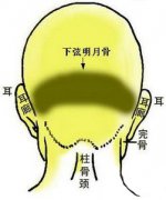 骨相算命大全