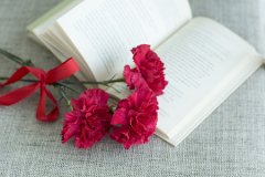 诗经起名之《鲁颂》篇